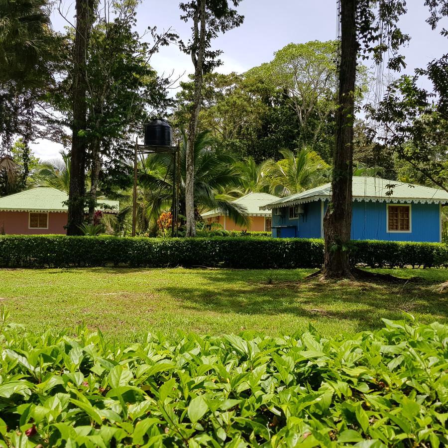 Ciudad Perdida Ecolodge Кахуіта Екстер'єр фото