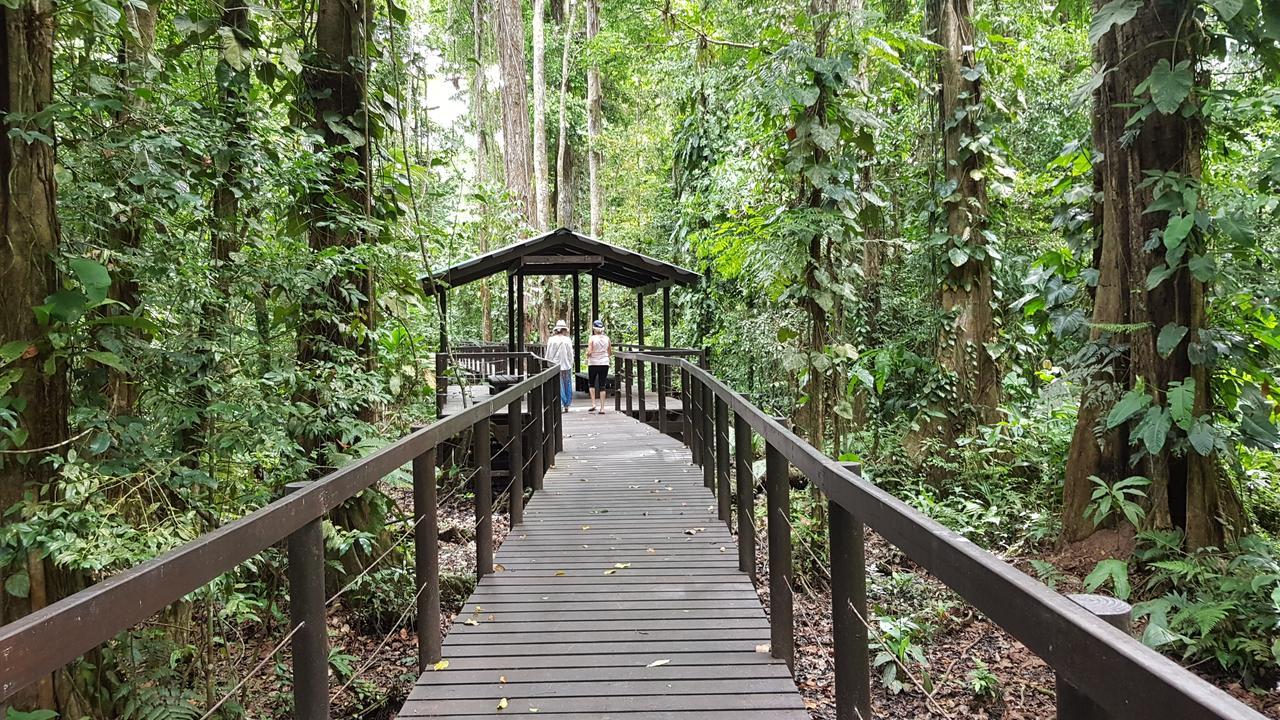 Ciudad Perdida Ecolodge Кахуіта Екстер'єр фото